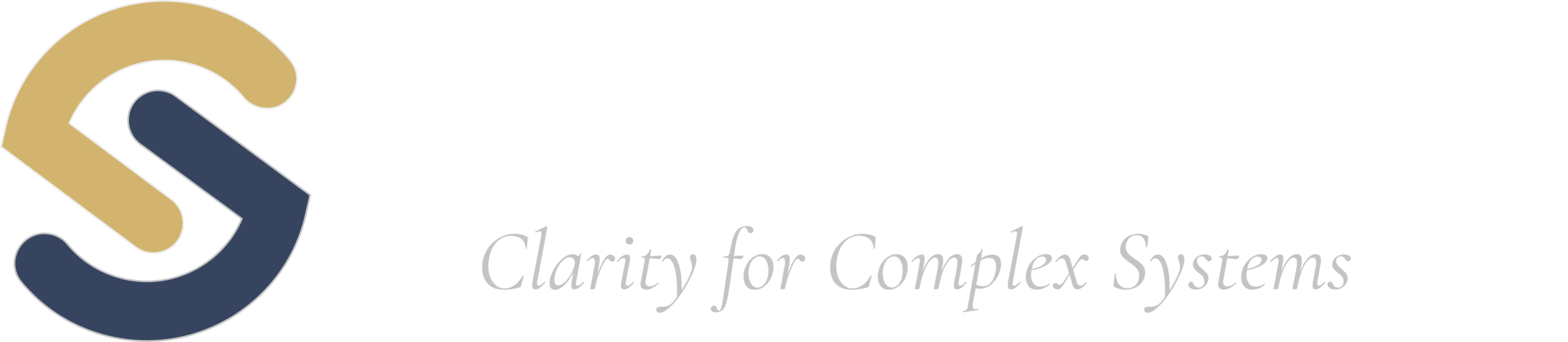 Solentis Strategy